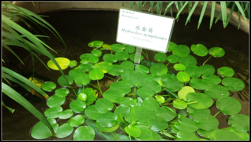 nEO_IMG_DSC_0156.jpg