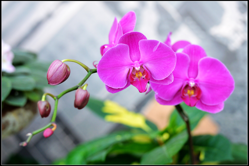 DSC_1671.jpg
