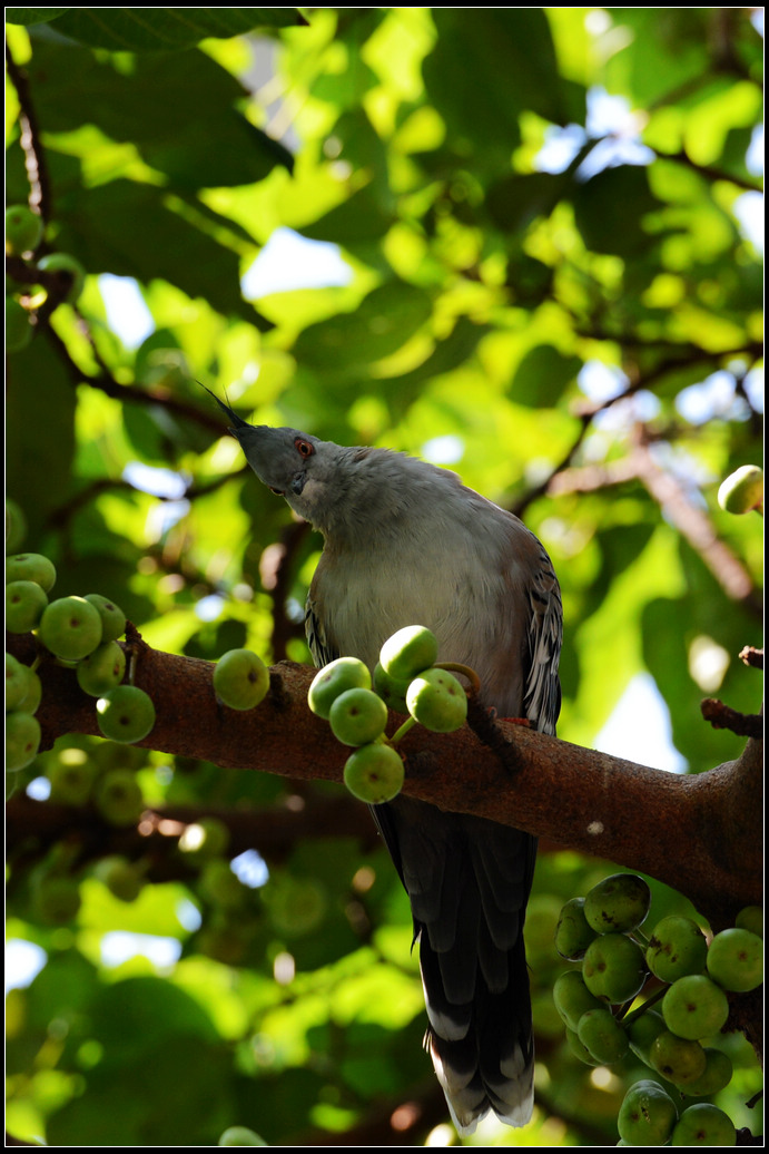 DSC_1903.jpg