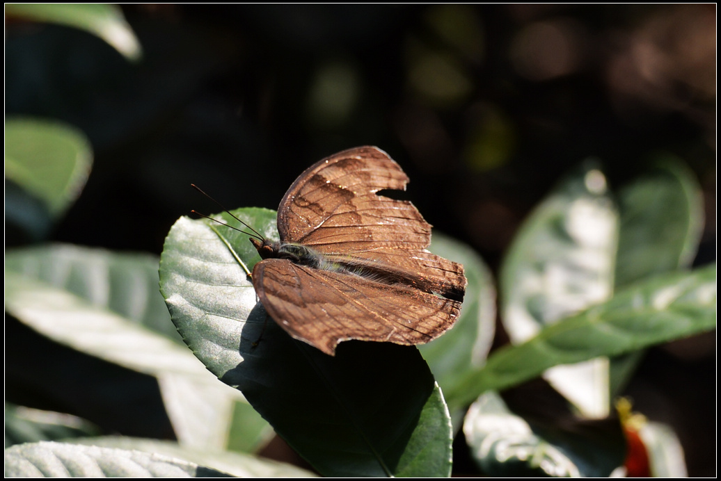 DSC_2056.jpg