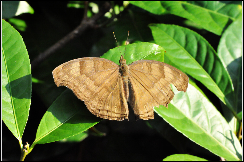 DSC_0069.jpg