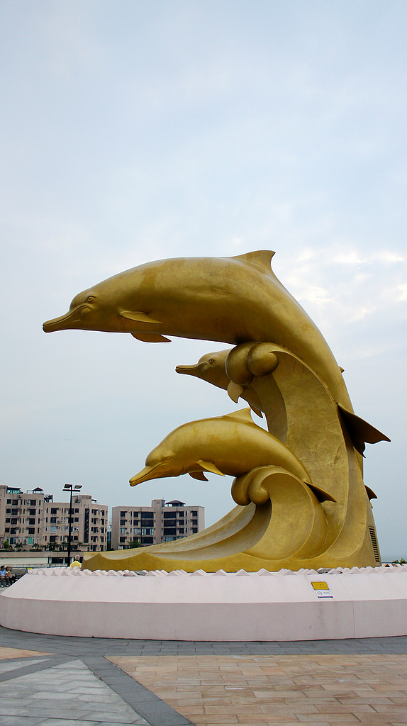 DSC06528.jpg