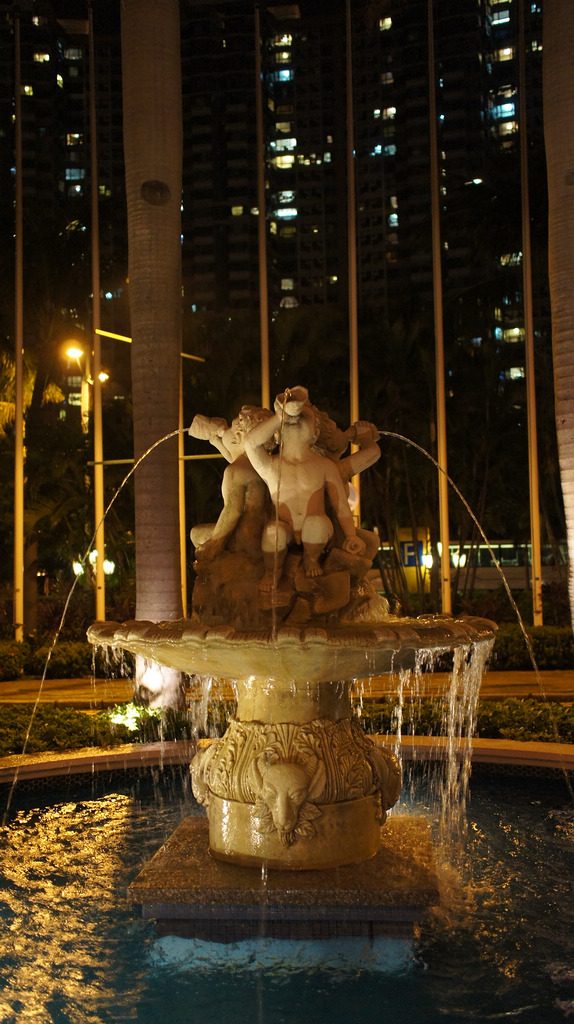 DSC06607.jpg
