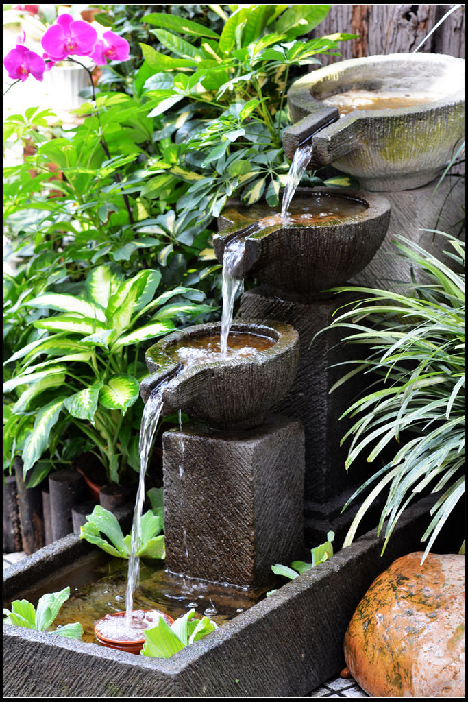 DSC_1681.jpg