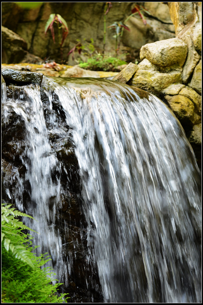 DSC_1715.jpg