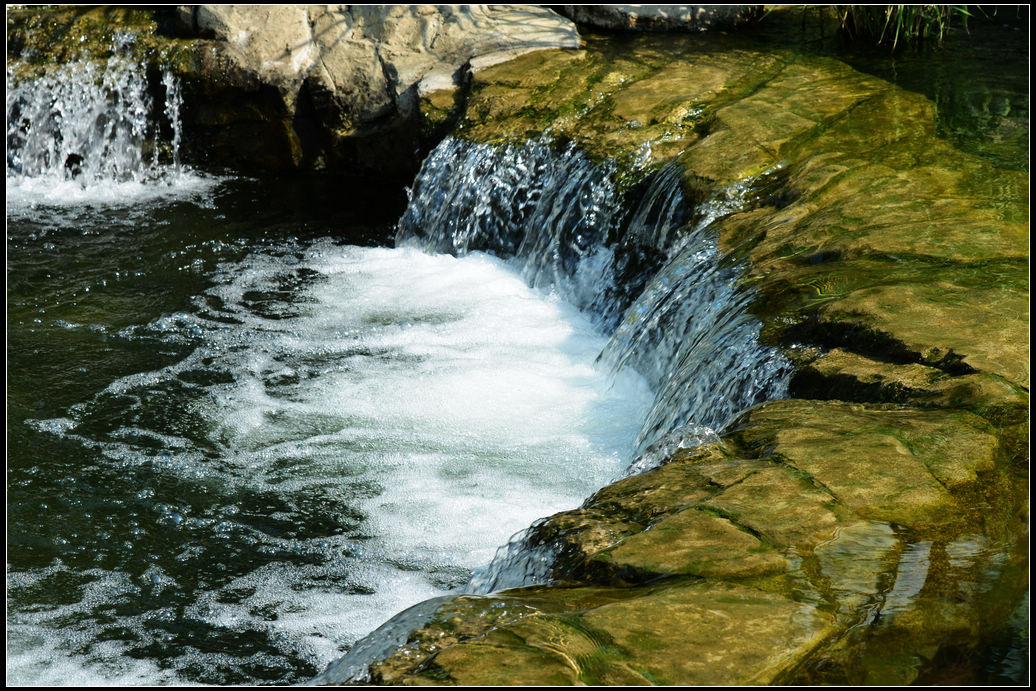DSC_1976.jpg