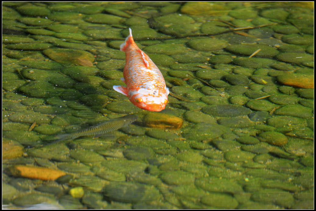 DSC_2049.jpg