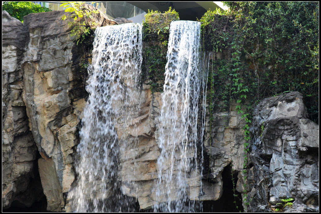 DSC_1998.jpg