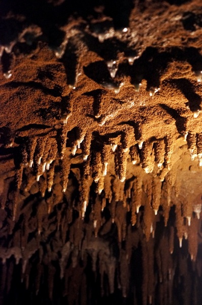 鐘乳洞18.jpg