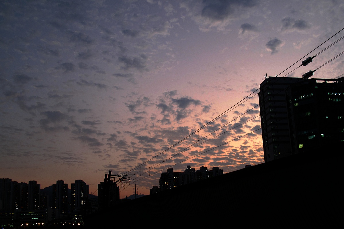 IMG_2496.JPG