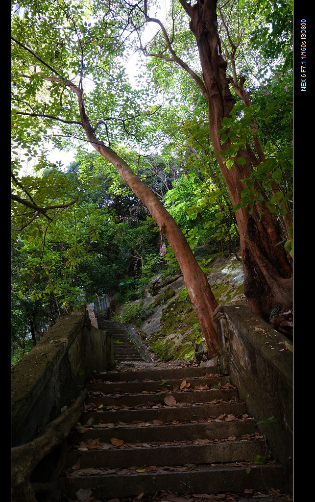 DSC00150.jpg