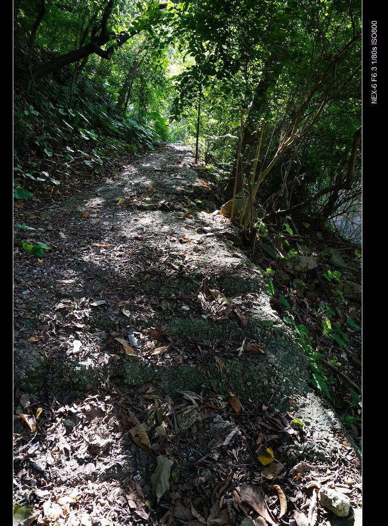 DSC00156.jpg