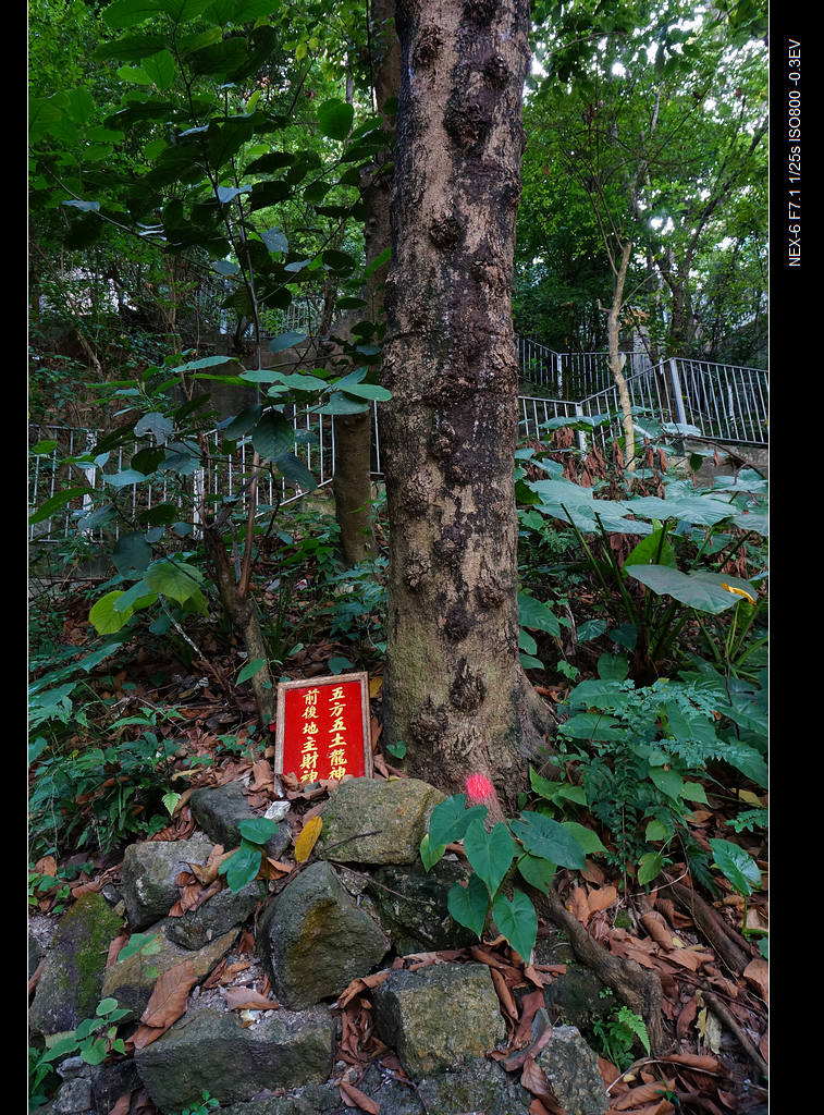 DSC00166.jpg