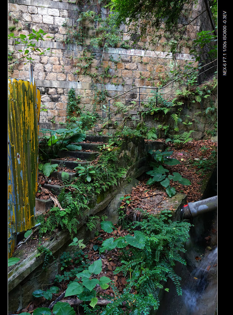 DSC00167.jpg
