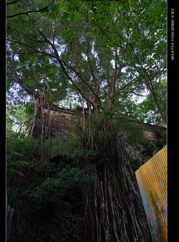 DSC00187.jpg
