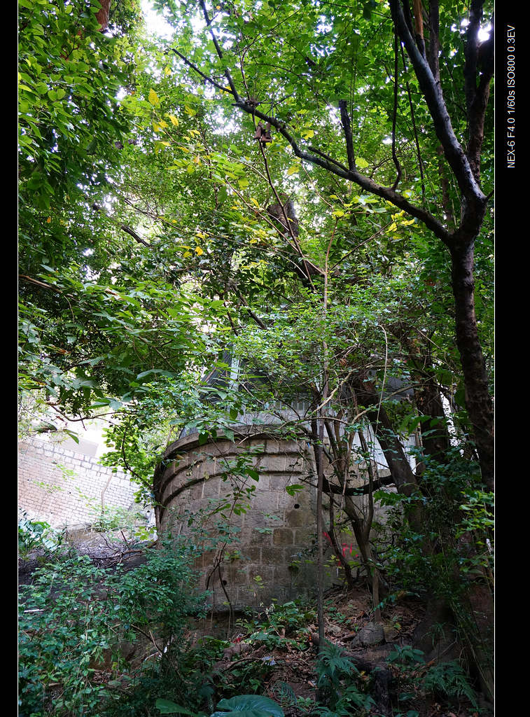 DSC00169.jpg