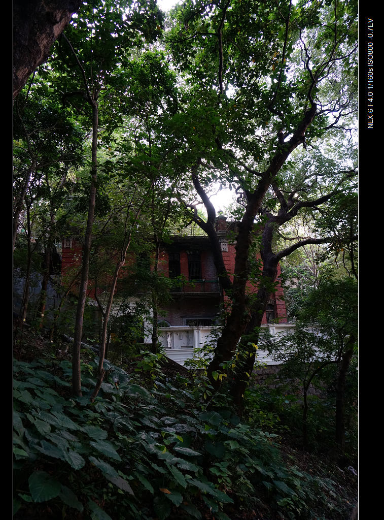 DSC00177.jpg