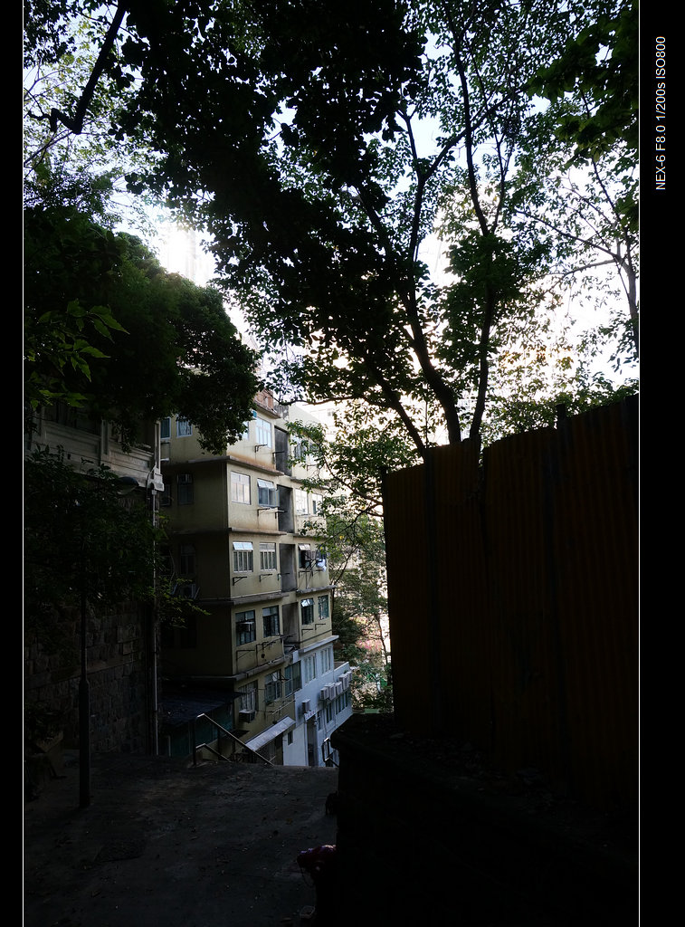 DSC00181.jpg