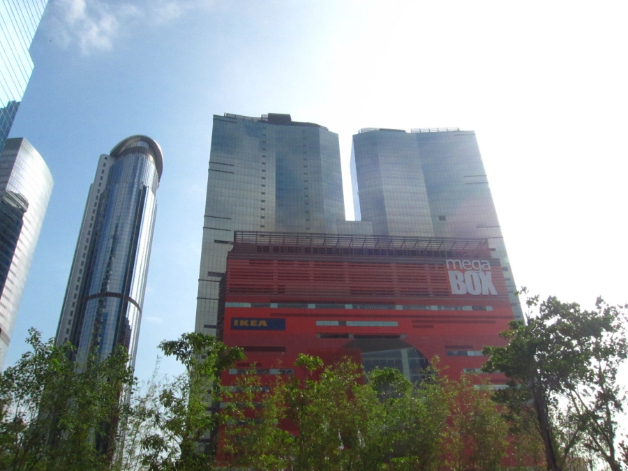 IMG_4684.JPG