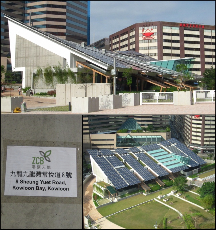 IMG_4689_conew1.jpg