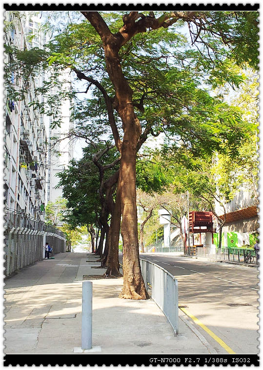 20120109_120447.jpg