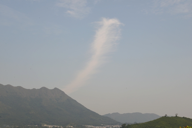 DSC_0596.JPG