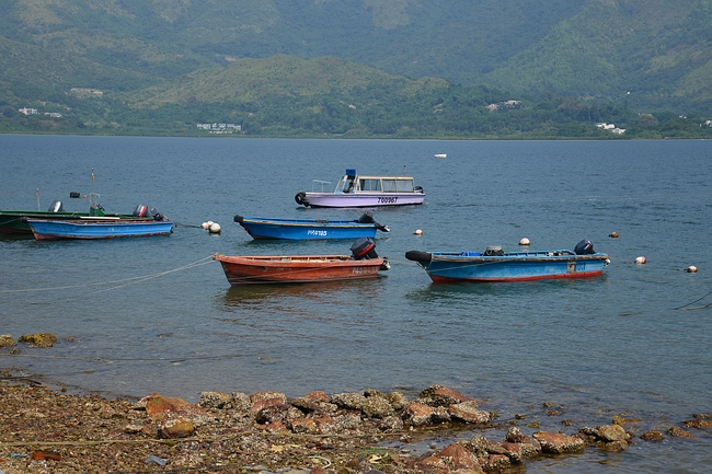 DSC_0598.JPG