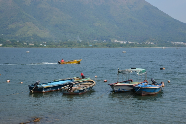 DSC_0599.JPG