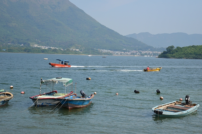 DSC_0600.JPG