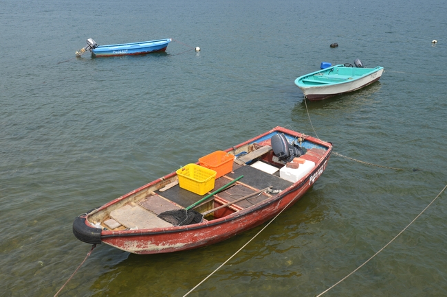 DSC_0601.JPG