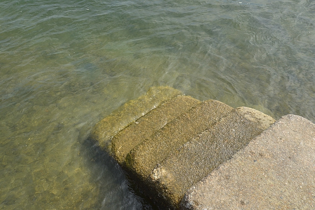 DSC_0603.JPG