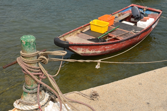 DSC_0606.JPG