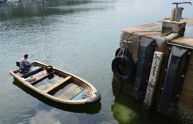 DSC_0626.JPG