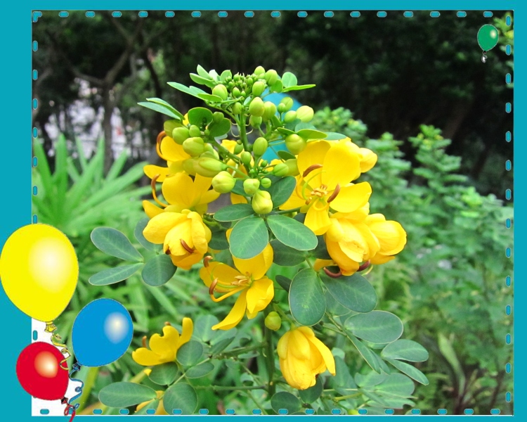 IMG_3867_conew1.jpg