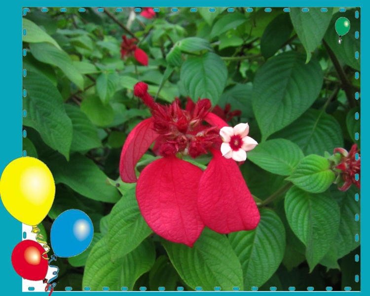 IMG_3901_conew1.jpg