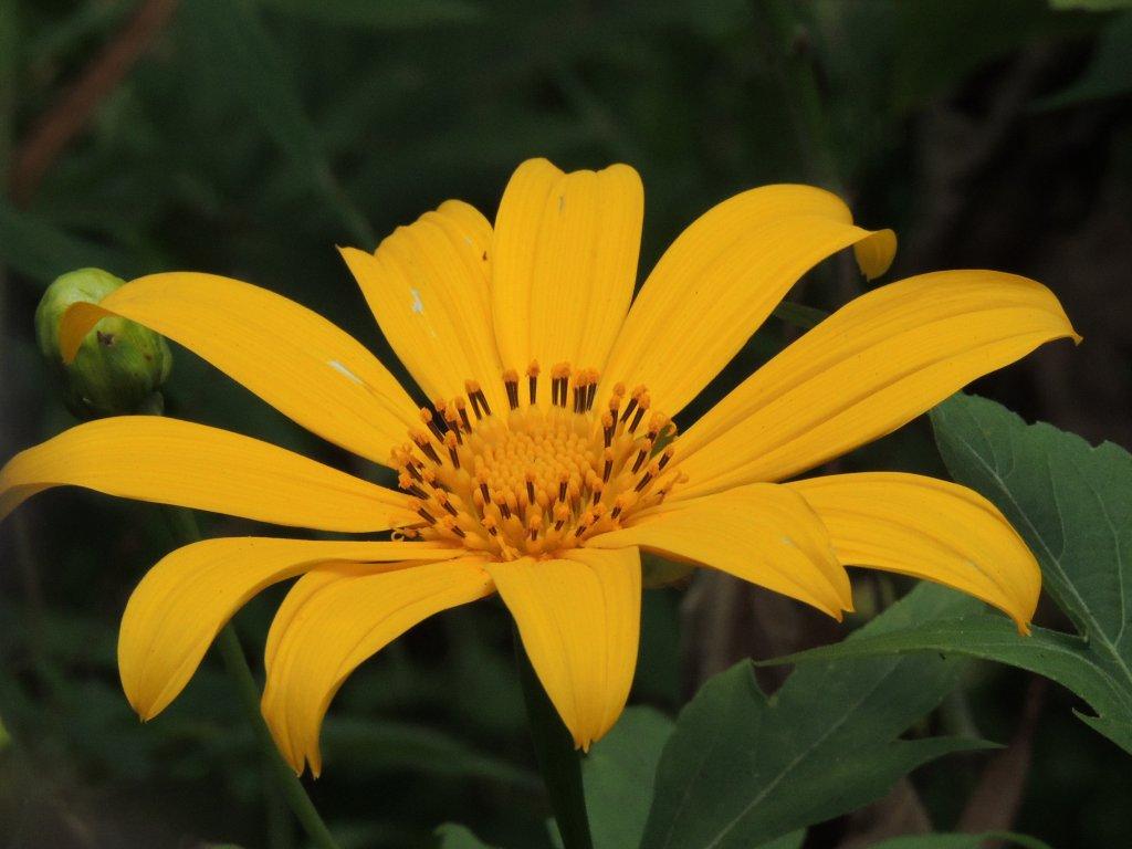 RSCN0199.jpg
