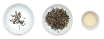 fn_tea4.png