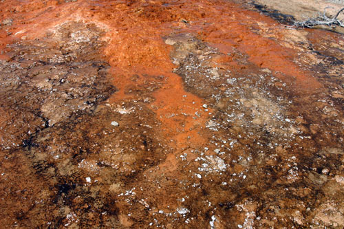 geyser_basin_0525.jpg
