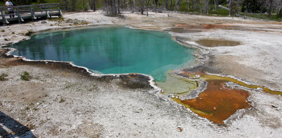 geyser_basin_0546.jpg