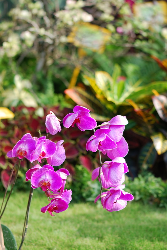 DSC_0622.jpg