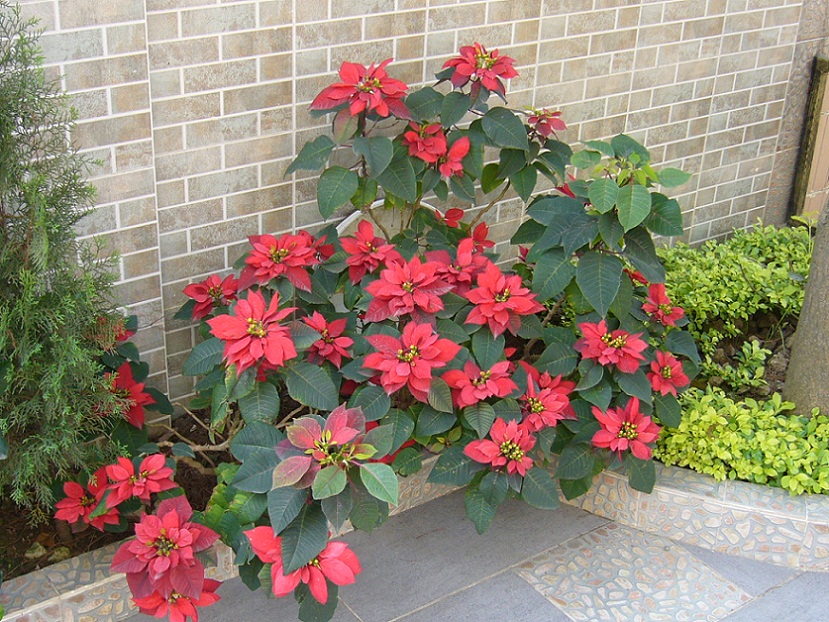 P1050854.JPG