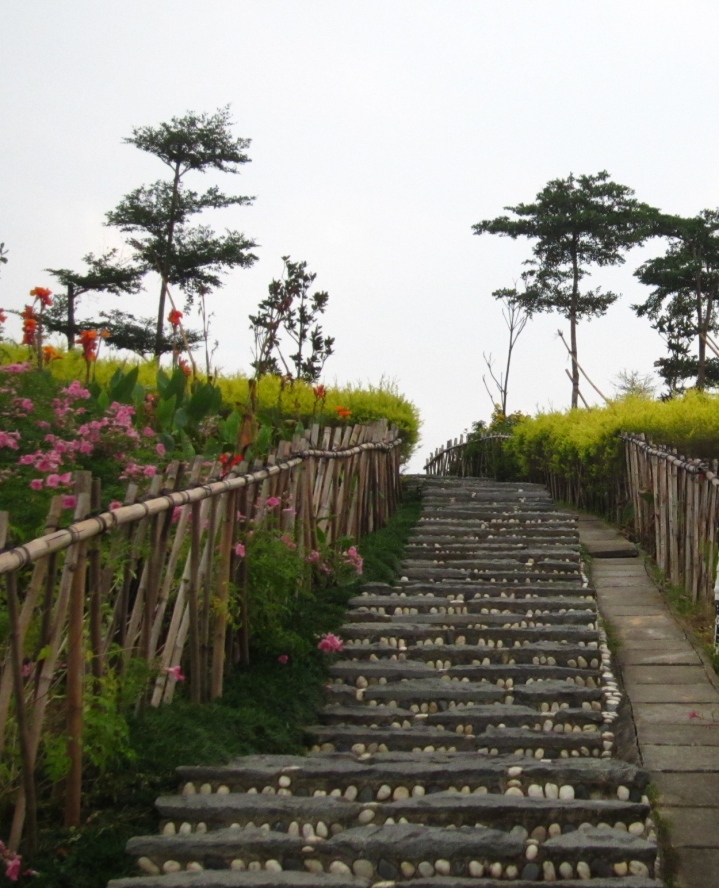 植物8 (5).jpg