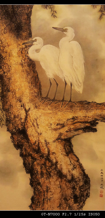 20121028_161333.jpg