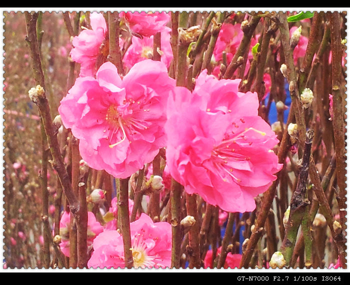 20120122_131328.jpg