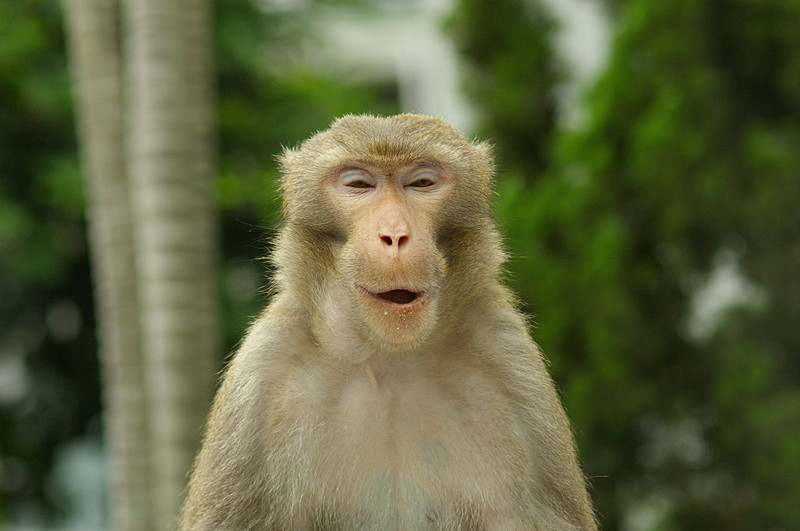 old woman 045_副本.jpg