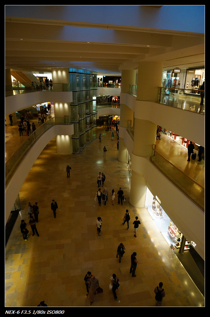 DSC00317.jpg