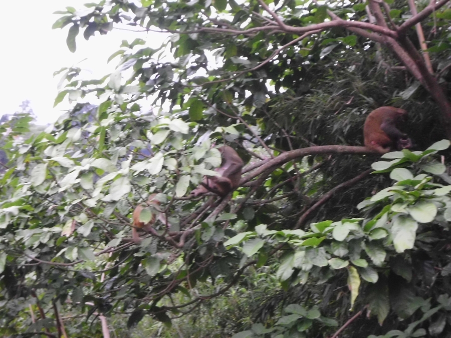 12.JPG