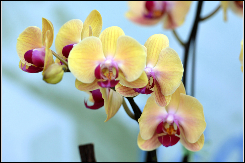 DSC_1676R.jpg
