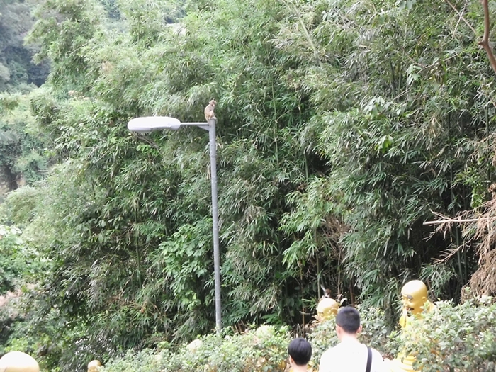 66.JPG