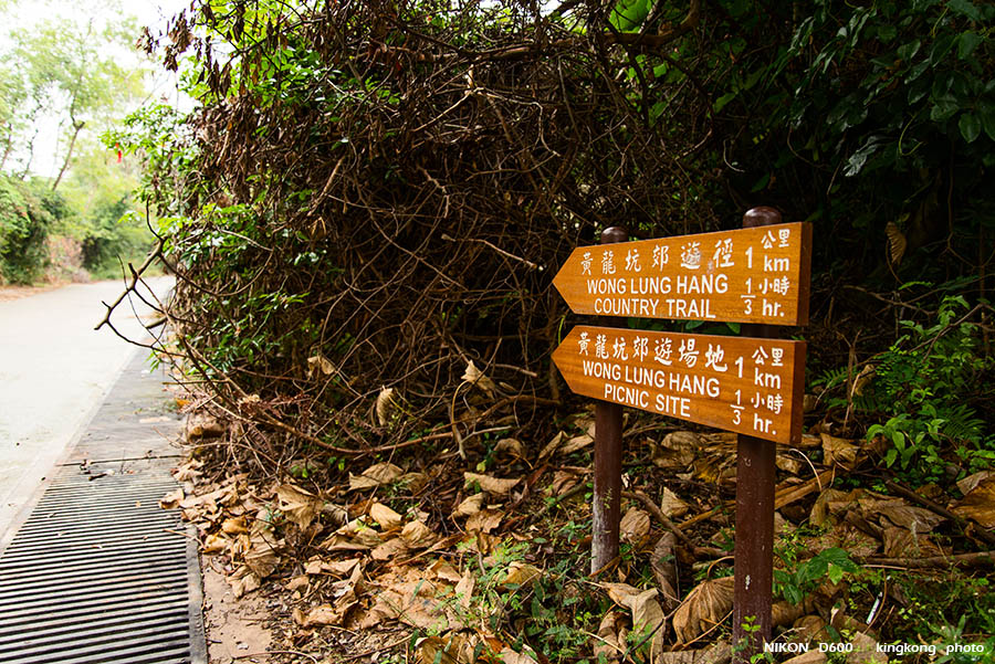 DSC_0969.jpg